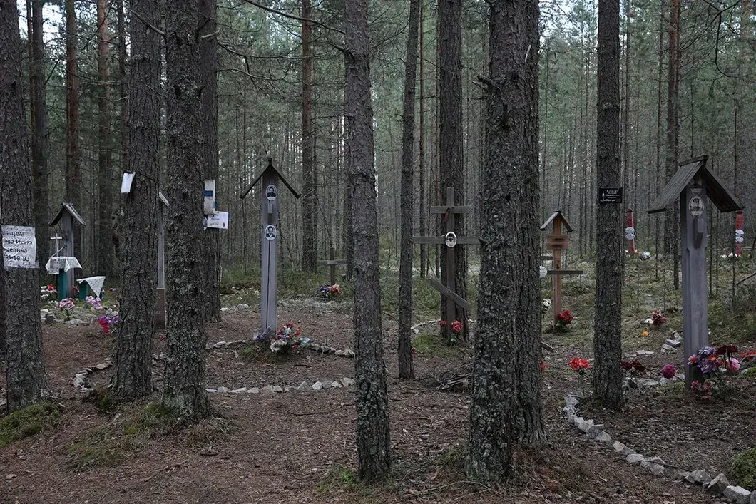 Сандармох. Фото: Анна Артемьева / «Новая газета»