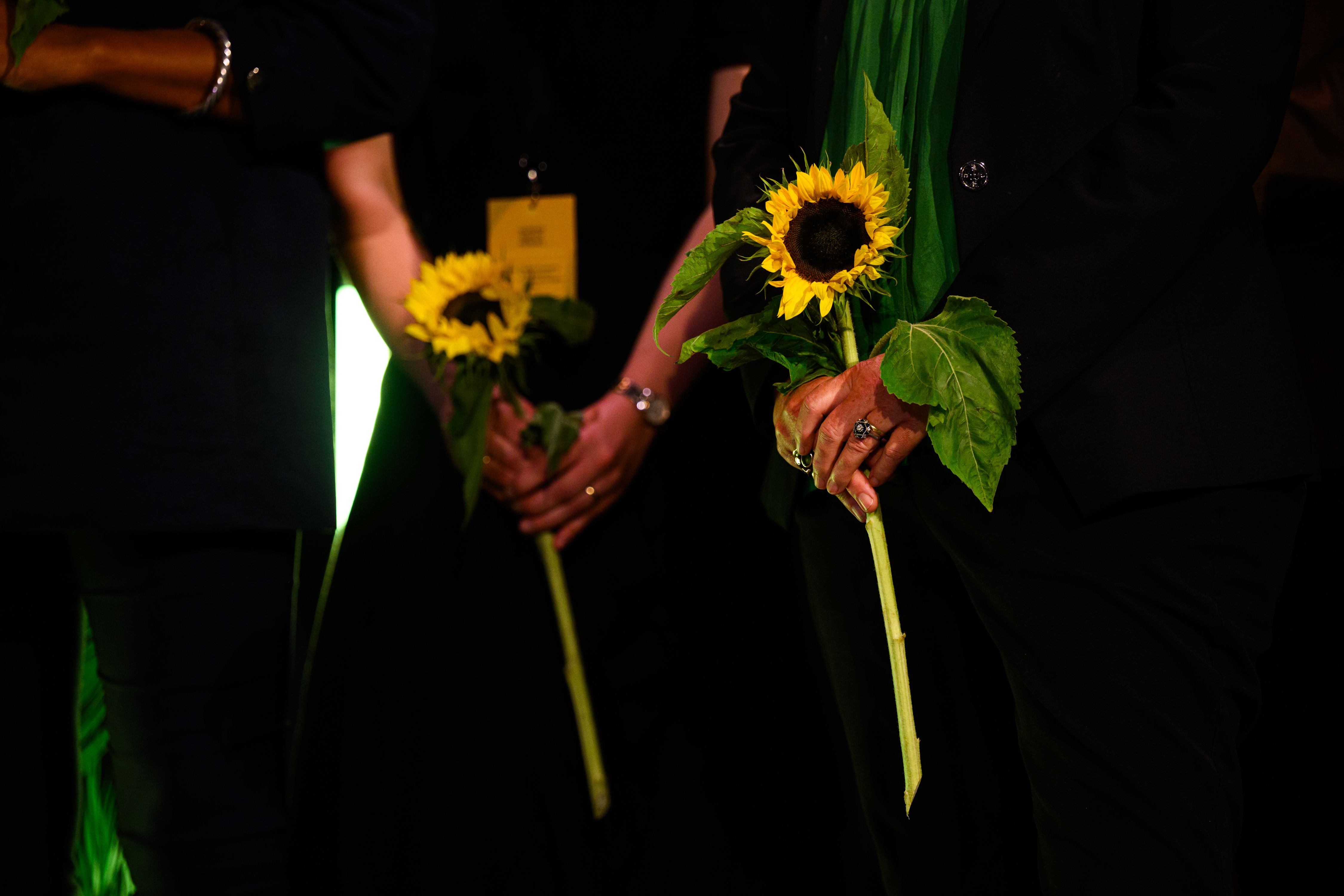 «Декларация подсолнухов»